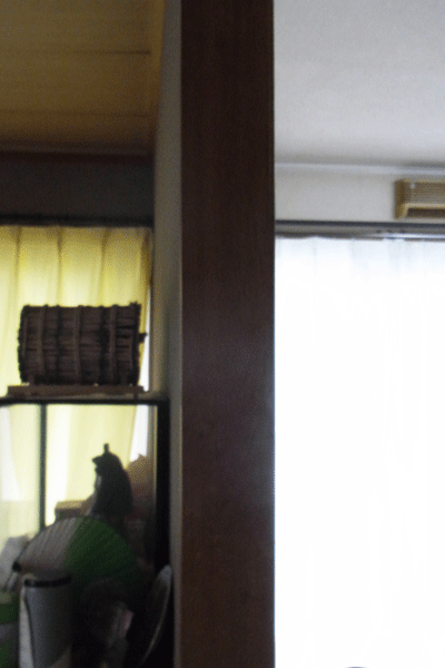 2010.7.10.gif